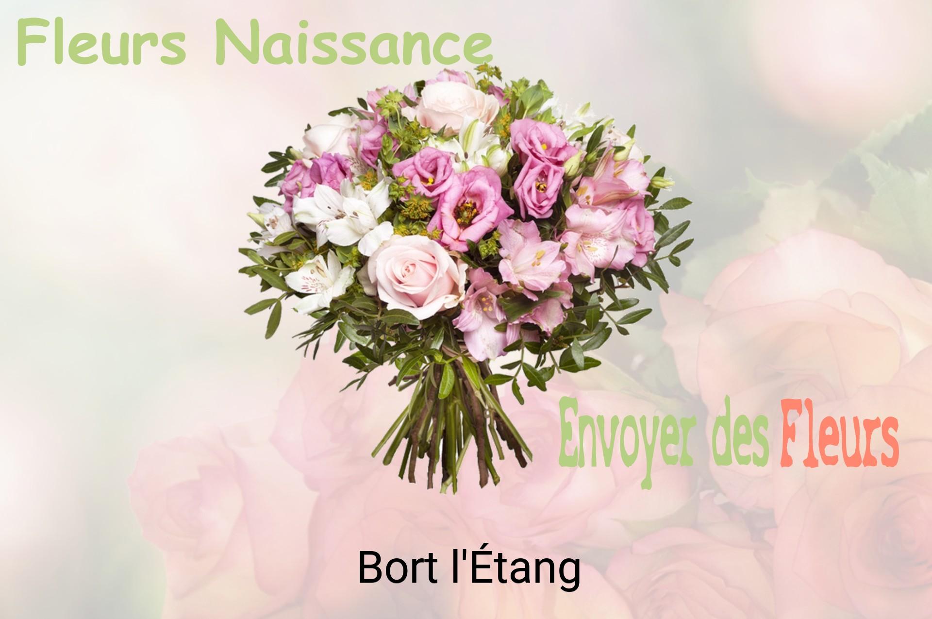 Bouquet de fleurs de naissance livré à Bort-l'Étang
